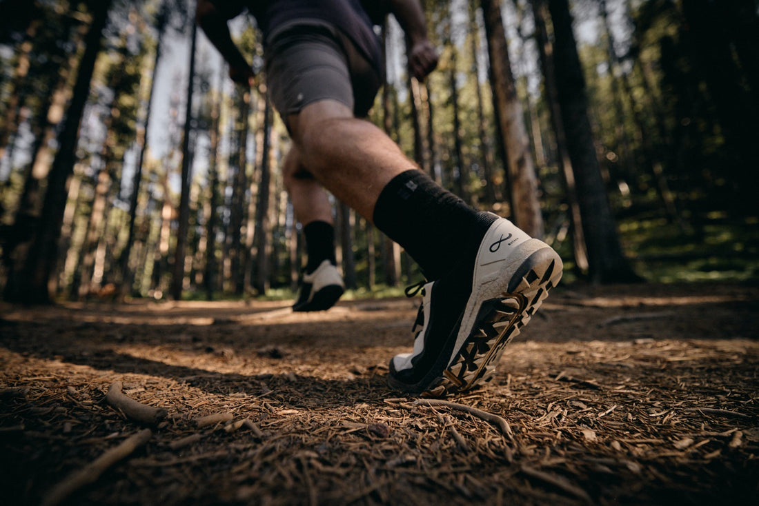 Grounded on the Fall Trails